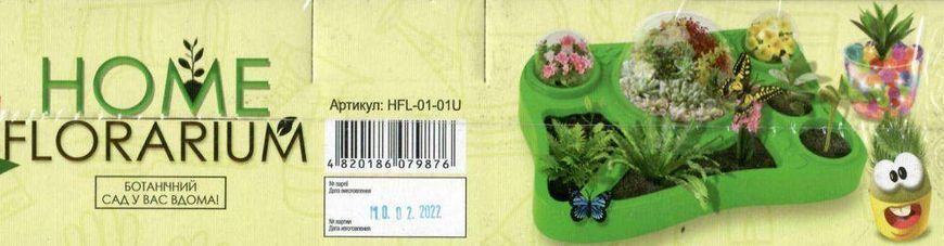 Безпечний освітній набір для вирощування рослин "HOME FLORARIUM", HFL-01-01U, Danko Toys 4820186079876 фото