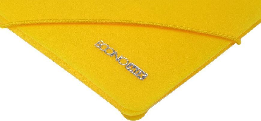 Папка на гумках пластикова А4, ECONOMIX E31633-13 салатова E31633-13 фото